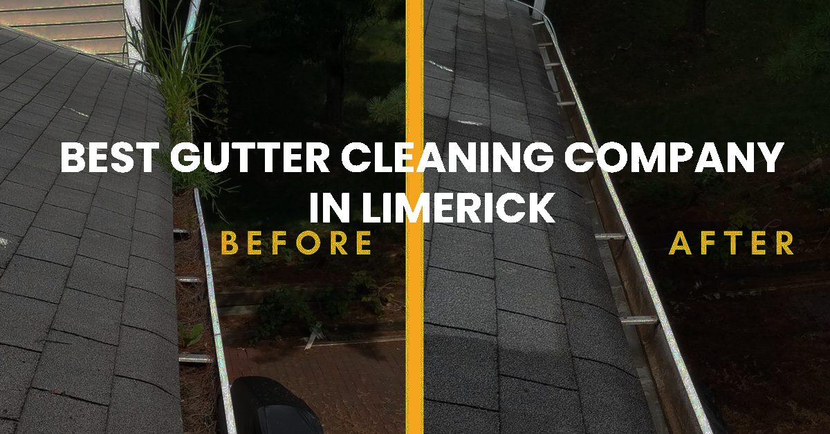 Gutter Cleaning